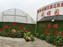 -庞各庄翠芳园西瓜蔬菜基地采摘园