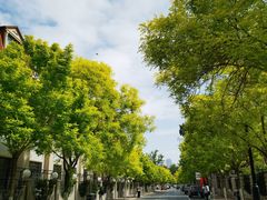 -天津五大道文化旅游区