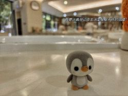 -宝生月子中心·独栋独院式(南山店)