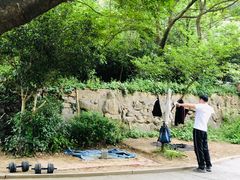 -紫金山山顶公园