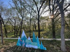 -楠溪江风景名胜区