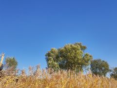 -野鸭湖国家湿地公园