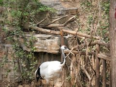 -济南野生动物世界