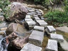 -广州白江湖森林公园