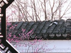 -八大山人梅湖景区