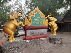 -西双版纳傣族园