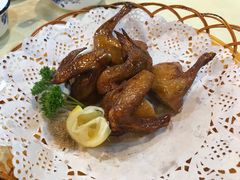 -一煲鸽