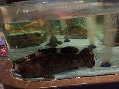 -阿伟海鲜楼·福建菜(延寿店)