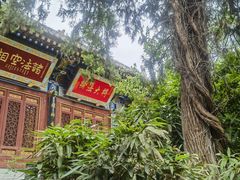 -兴教寺