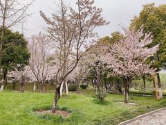 -堤角公园