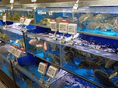 水产区-盒马鲜生(双清路店)