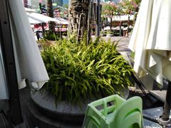 -蔡澜Pho·越南粉餐厅(海上世界店)