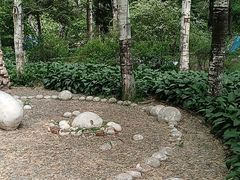 -黑龙江省森林植物园