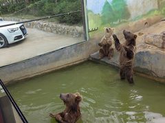 -济南野生动物世界