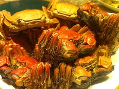 -王宝和酒家(黄浦店)