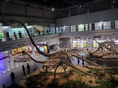 -自贡恐龙博物馆