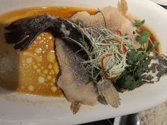 -齐家花园大酒店(宝山店)
