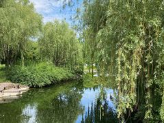 -上海滨江森林公园