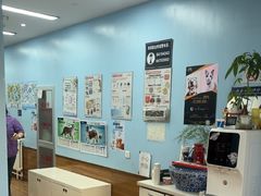 -瑞派·关忠动物医院·异宠专科·犬猫肿瘤·皮肤专科(望京店)