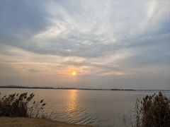 -漕湖湿地公园