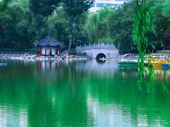 -莲湖公园