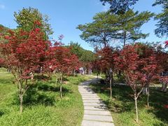 -广州市帽峰山景区