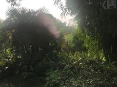 -望江楼公园