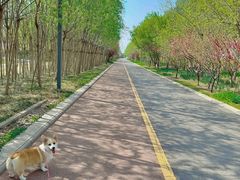 -天津东丽湖风景区