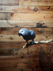 -Zoolung Zoolung动物主题公园(海信广场店)