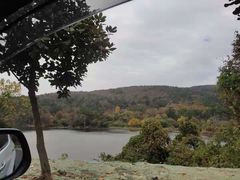 -南京市无想山景区