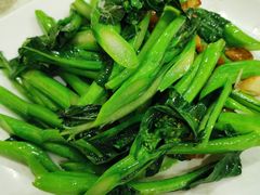 生炒菜心-广宁炭炉鸡煲·富临门饭店