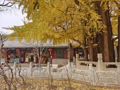 -潭柘寺景区