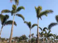 -亚马逊丛林水乐园