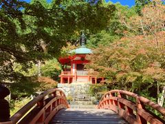 -醍醐寺