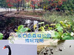 -长白岛森林公园