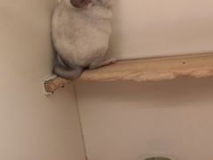 -龙猫仔乐园(惠福东路店)