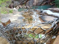 -广州白江湖森林公园