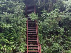 -武陵山森林公园