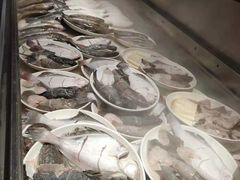 -日丰园海肠水饺·老字号大连海鲜(和平广场店)
