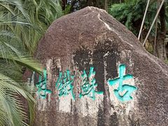 -深圳仙湖植物园