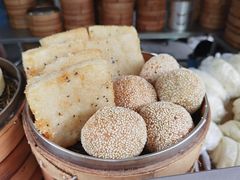 菜肉麻团-龙丰楼包子(南方大厦店)