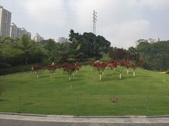 -龙头寺公园