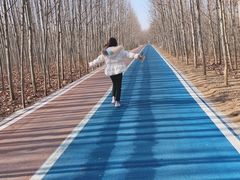 -花园口旅游区