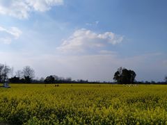 -中国天府农业博览园