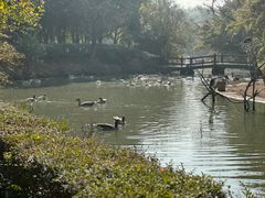 -宁波野生动物园