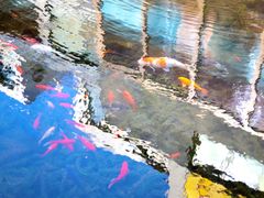 -泉乐坊步行街(烟酒特产平价超市店)