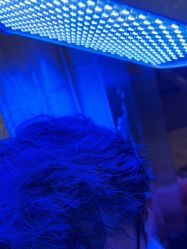 -碧莲盛·不剃发植发