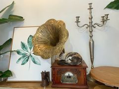 -吉丁鸟咖·异宠·寄养