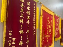 -瑞鹏宠物医院·爱宠堂·骨外专科(西荷分院)