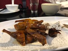 -云中小雅